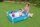 Bestway My First Frame Pool 122 x 122 x 30,5 cm, blau , eckig