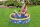 Bestway My First Fast Set Aufstellpool mit Wassersprüher Ø 152 x 38 cm, rund, sortiert
