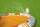 Bestway Planschbecken Groovy Giraffe 266 x 157 x 127 cm, rund