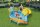 Bestway Wasserspielcenter Südsee 280 x 257 x 87 cm