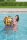 Bestway Wasserball „POP Beach“ 91 cm