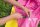 Bestway Jumbo Wassersprinkler Flamingo 340 x 110 x 192 cm