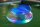 Bestway Schwimmring mit LED-Licht Swim Bright Ø 118 x 117 cm